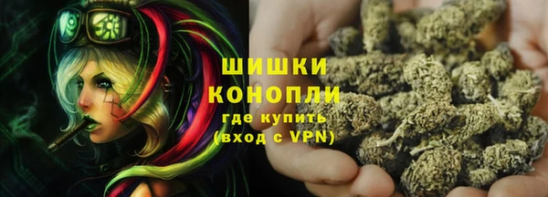 PSILOCYBIN Белокуриха