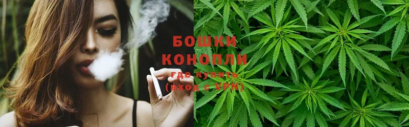 Каннабис White Widow  Гаврилов Посад 